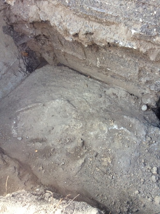 Concrete blob