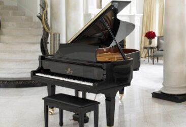 Cabinet Care and Feeding