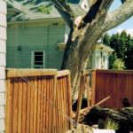 Tree tears off electrical mast falling into home