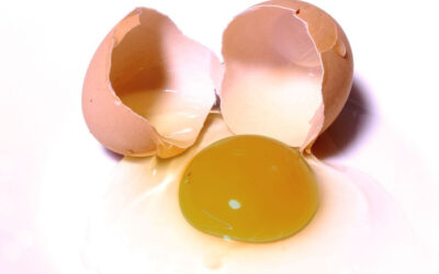 Sulfur Smell From Hot Water