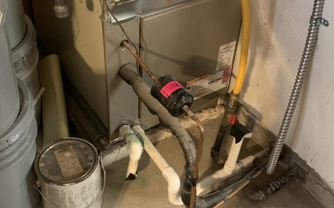 My House is More Humid Than Normal