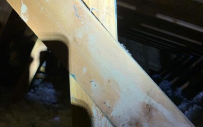 Help My Roof is Popping