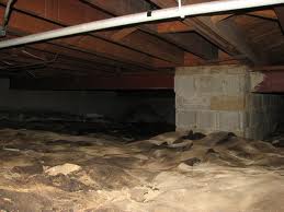 A Visit To The Crawl Space